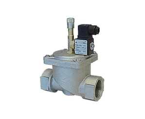 MSV100